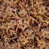 Flor de Patata
