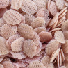 Mix Crinkle Slices